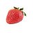 alonso_ytph