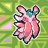 caactus