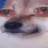 Vylke_