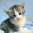yesthecat64