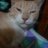 raynn77_83124
