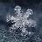 xFaLLinGxSnoW