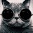 MeowMeowSwswsw