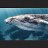 Elecwhale