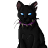 Feralfixations