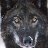 Alastor_adamas