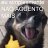 CachorroCaramelo
