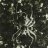 Apocrypha