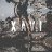 xpandisg