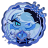 shamilkCookie
