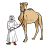 xckot