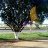 yancon234