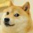 ElDogoxdd16