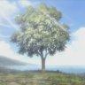 Dspico Theme "Rainbow: Nisha Rokubō no Shichinin"
