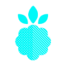 Pico Launcher - DS-20 Theme