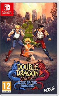 The legend continues! Double Dragon Gaiden: Rise of the Dragons